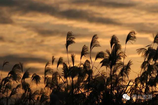 央视推荐长江十大旅游线路视频,中国十大热门旅游线路