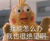 一机在手天下我有原视频,一盘多用的眼影盘便携