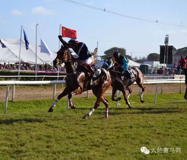 中国马业排名前十名,中国马业十大风云人物