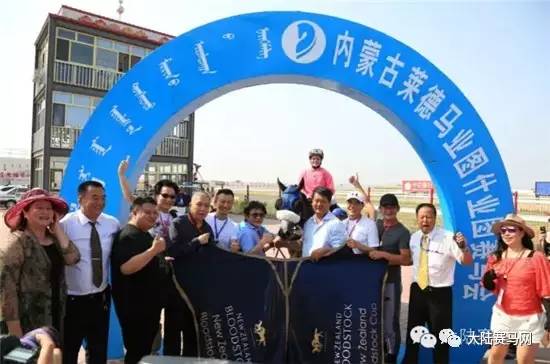 中国马业排名前十名,中国马业十大风云人物