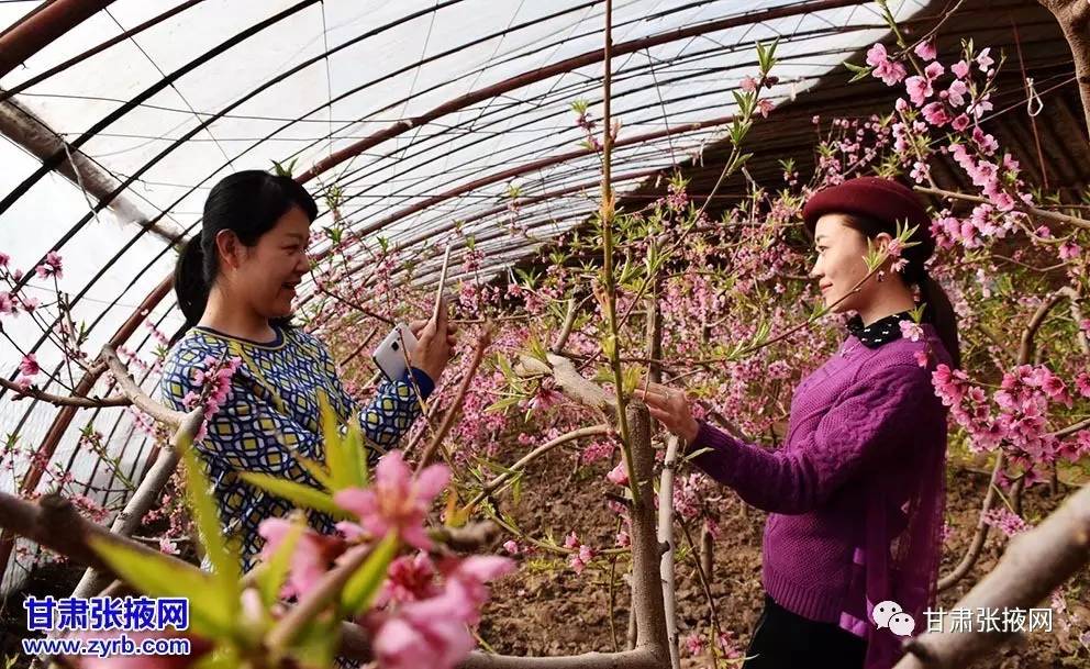 甘州大事件全集,甘州最近发生的事情