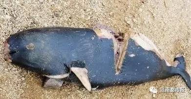 疼！一个铁钩，钩住的是全人类的的心