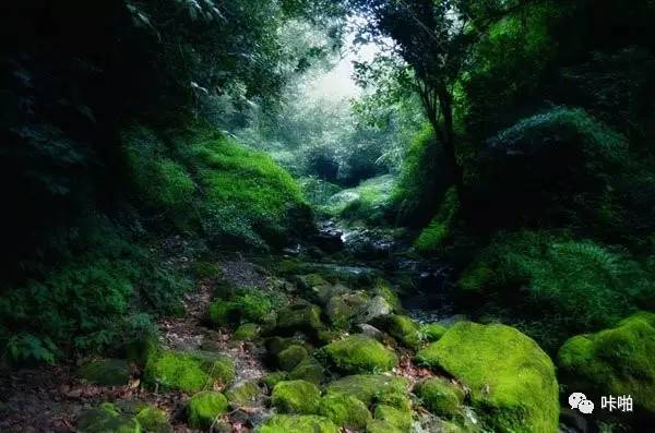 重新认识套装镜头,KitLens的5大好处