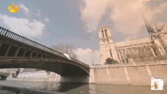 大写的不信！陈乔恩张含韵胡歌张翰……Ta们都曾失忆过？！