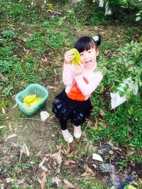 南宁游玩踏青攻略路线推荐,南宁春游赏花攻略图