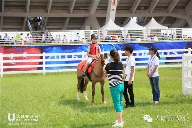 岂止比赛，更是盛会—2016内蒙古鄂尔多斯国际驭马文化节成功举办