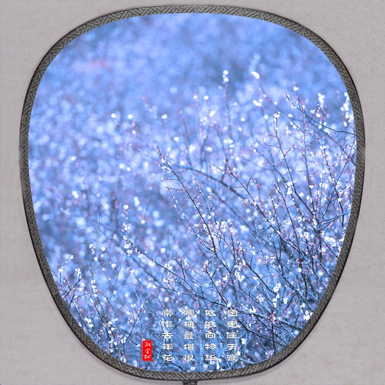 立春节气早安图片,立春美景图