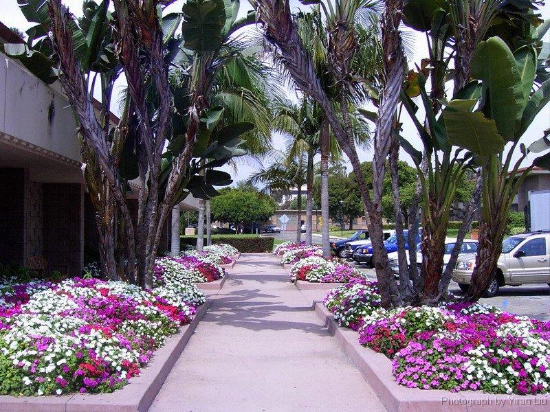 「留学」在加州大学圣塔芭芭拉分校就读是怎样一番体验？