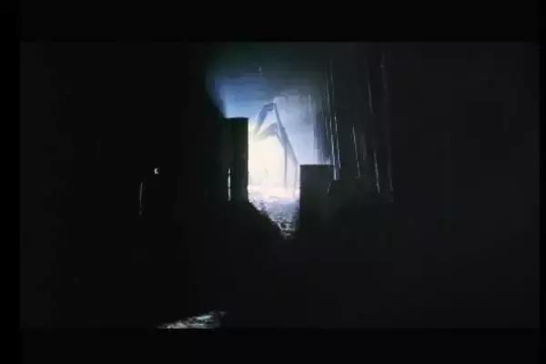 这是你们要的大长腿，备好纸巾，准备上下其手吧