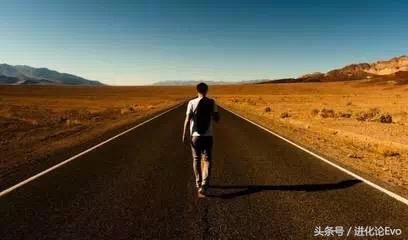 考研该不该出国留学,高考该不该出国留学