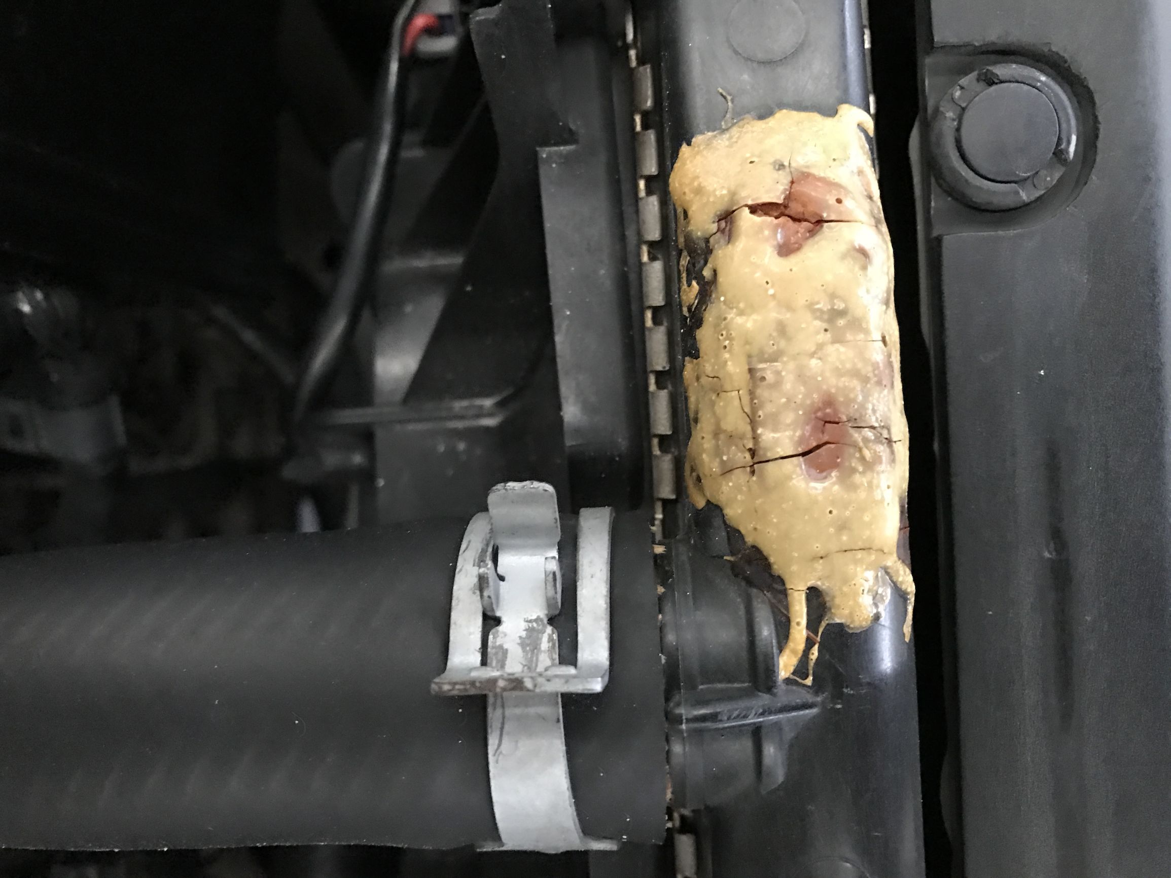 原车主把这车当浴缸使?二手雅阁的悲惨命运