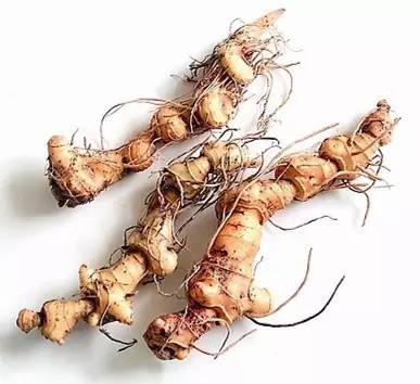 西游记长生药秘方,西游记中的仙丹灵药有哪些