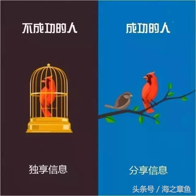 成功者与失败者的区别图文,成功者和失败者的本质区别图片