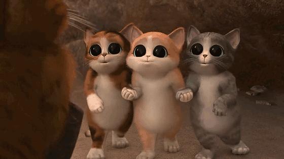 这些猫狗男女都爱看