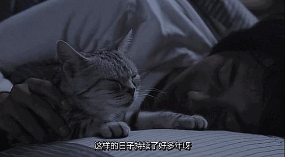 这些猫狗男女都爱看