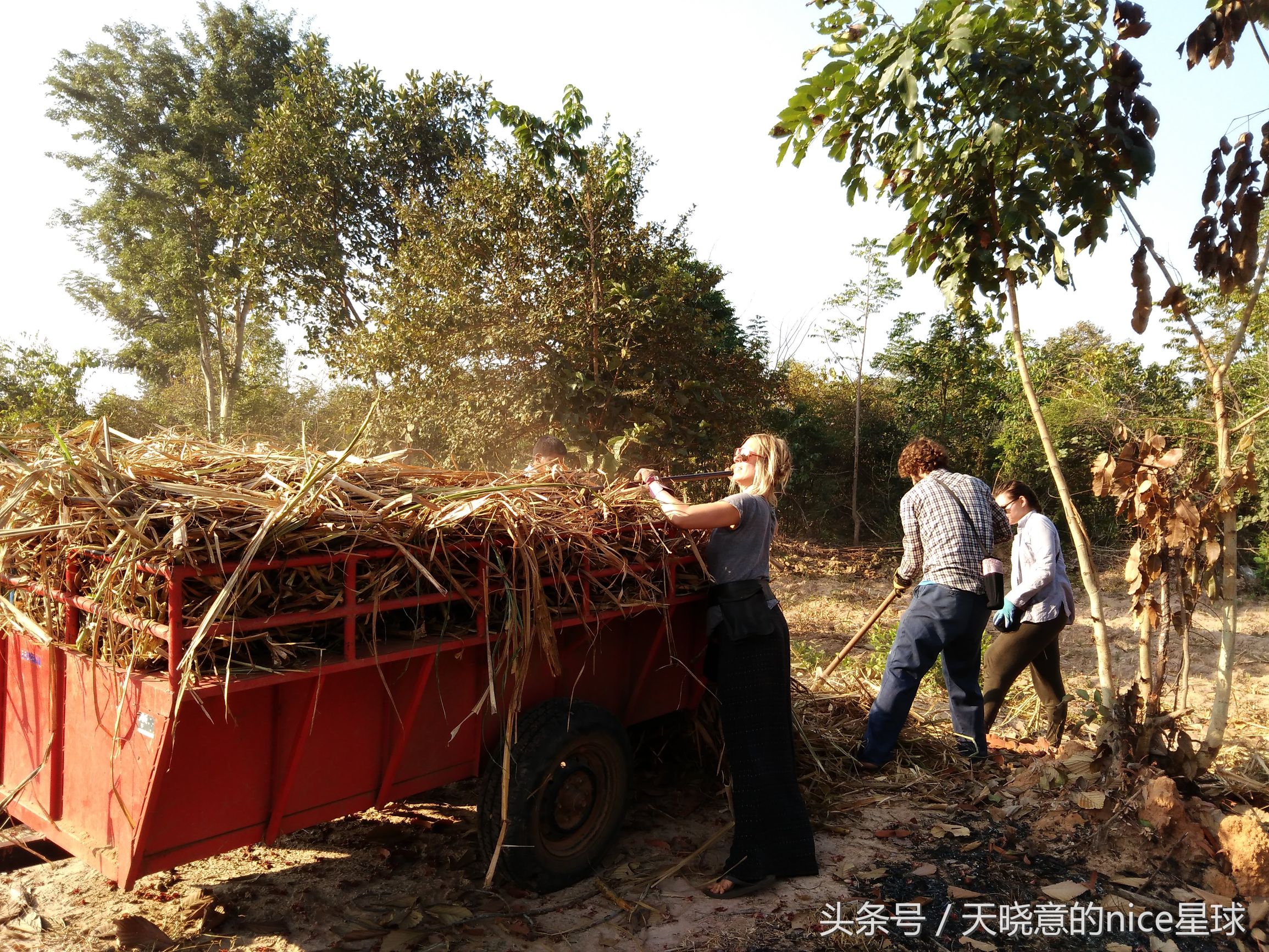 泰国大象旅行记,泰国旅游跟大象近距离接触