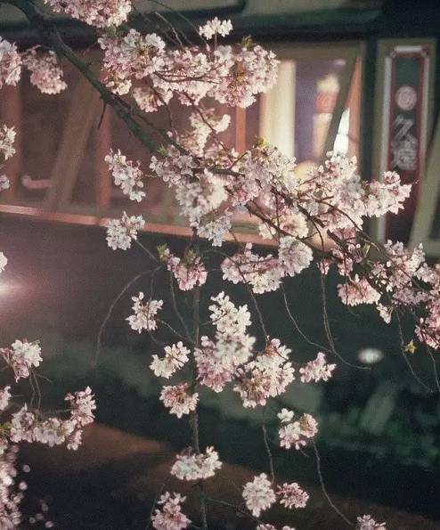 这份成语分类大全替孩子存下吧,成语分类积累整理大全