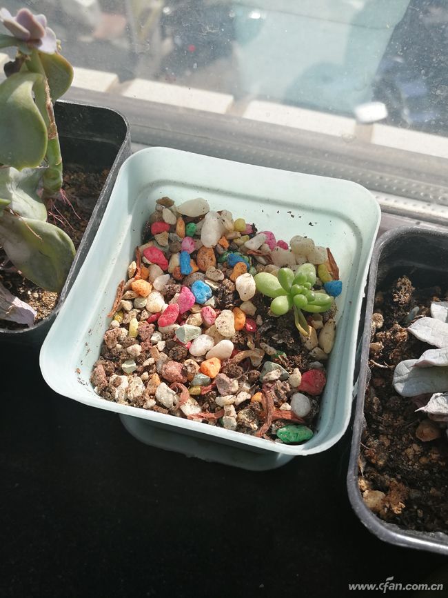 现在最近荣耀v9价格,荣耀v9价格变化