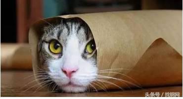 钢材销售员的一天，简直太形象了！笑喷……