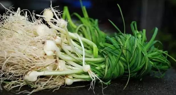 小根蒜可以一年四季吃吗,小根蒜四季都可以吃吗