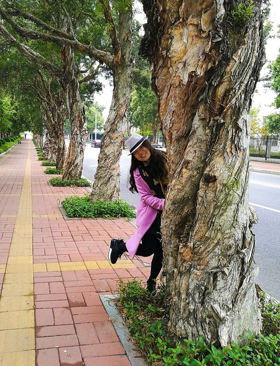 五年后重游澳门的感受,一日游遍澳门的感受