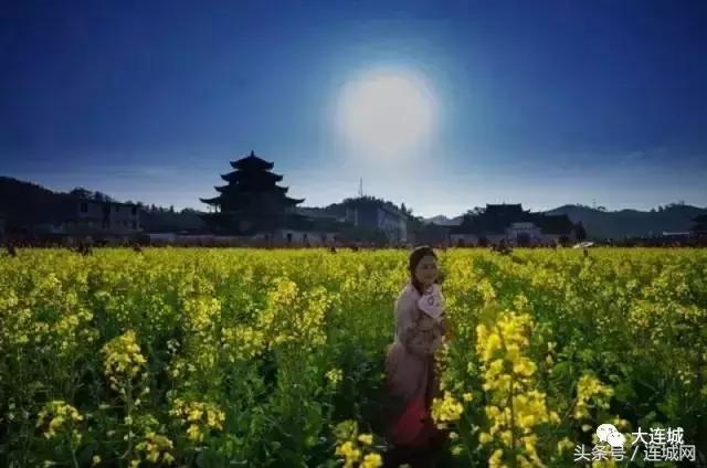 二月二龙抬头打篮球,二月二龙抬头打麻将