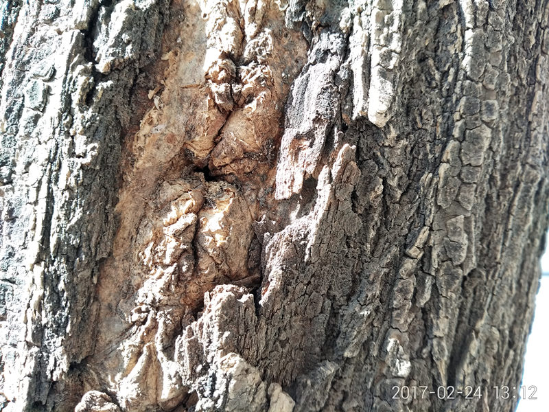 测评360n5,360n5好不好