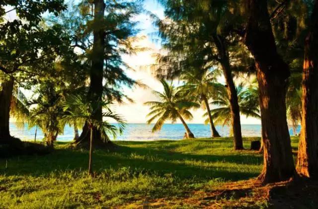 塞班岛新年自由行,塞班出国旅游攻略