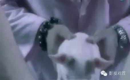 李菁相声早期,李菁说相声全集