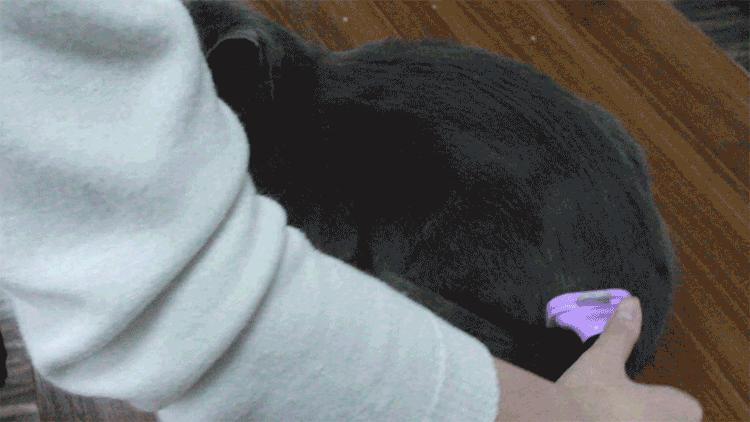 宠物除毛梳,宠物除毛神器哪个好用