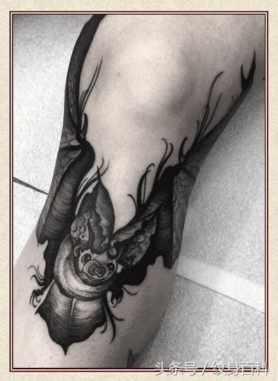 粉丝求图,粉丝求素材原图怎么回复