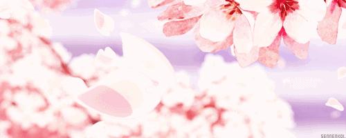 星巴克樱花官方,2022年星巴克樱花新品