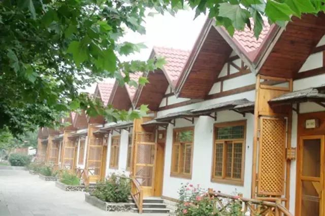 厉害了我的廊坊！这个有着美丽风景和高颜值的城市，变身“网红”