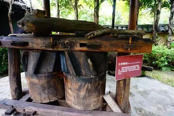 巴马长寿五大要素,巴马的长寿文化与中国的养生文化