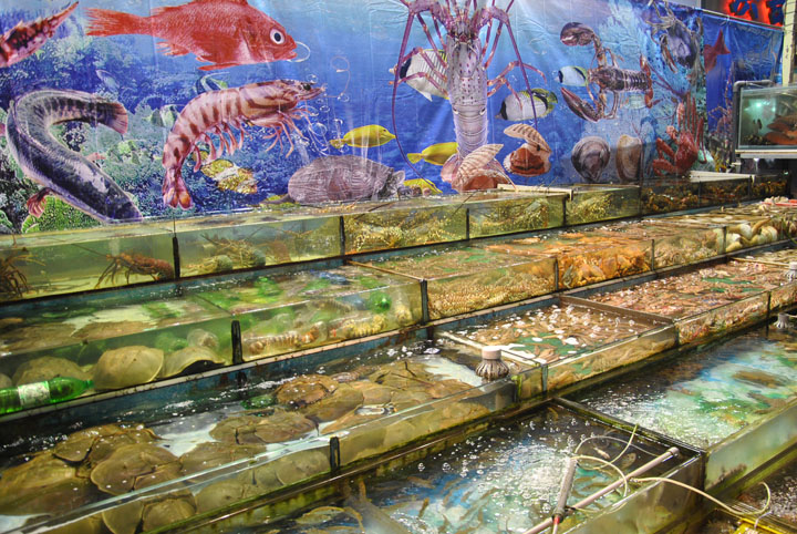 喝上碗“鱼粥”赛神仙