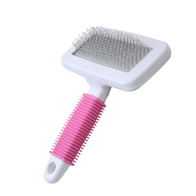 贵宾犬怎么饲养,贵宾犬如何饲养好