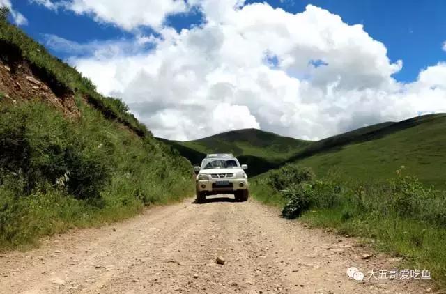 帕拉丁适合年轻人的硬派越野,硬派越野帕拉丁