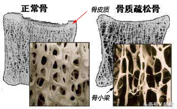做一个有骨气的人议论文,做一个有骨气的人