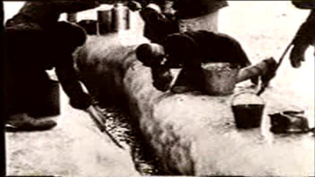 二战的转折点列宁格勒,二战苏德战役纪录片