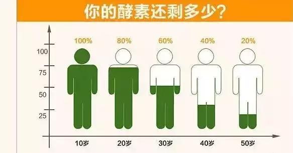 食用酵素制作全过程,食用酵素的制作方法