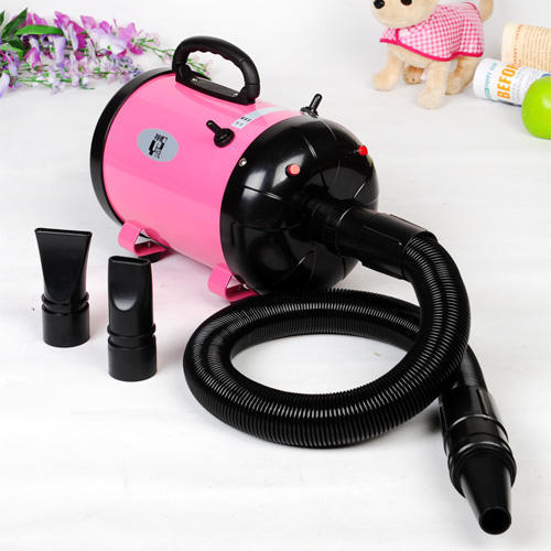 贵宾犬怎么饲养,贵宾犬如何饲养好