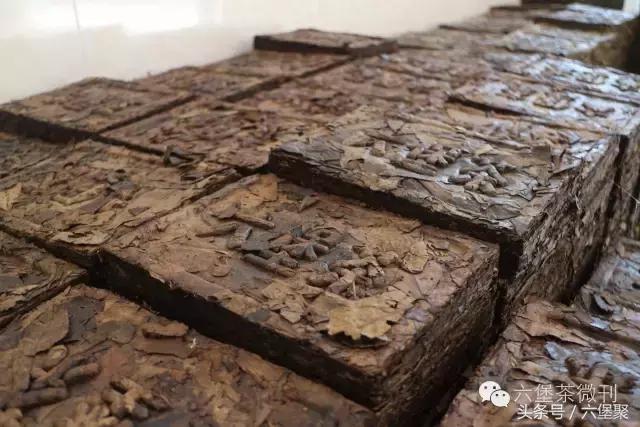 六堡茶黎宝林,茶江湖茶业旗舰店