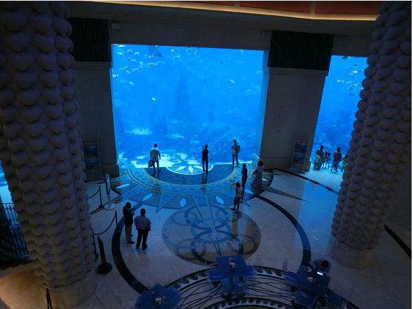 迪拜游记,迪拜游记视频