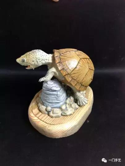 动物模型龟类,乌龟哪个模型好看
