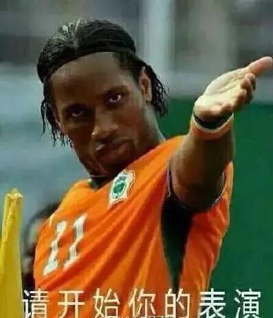 年轻人,想不想亲自去拍个猫片呀!