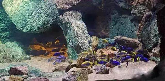 坏水质,草缸水质都要注意哪些