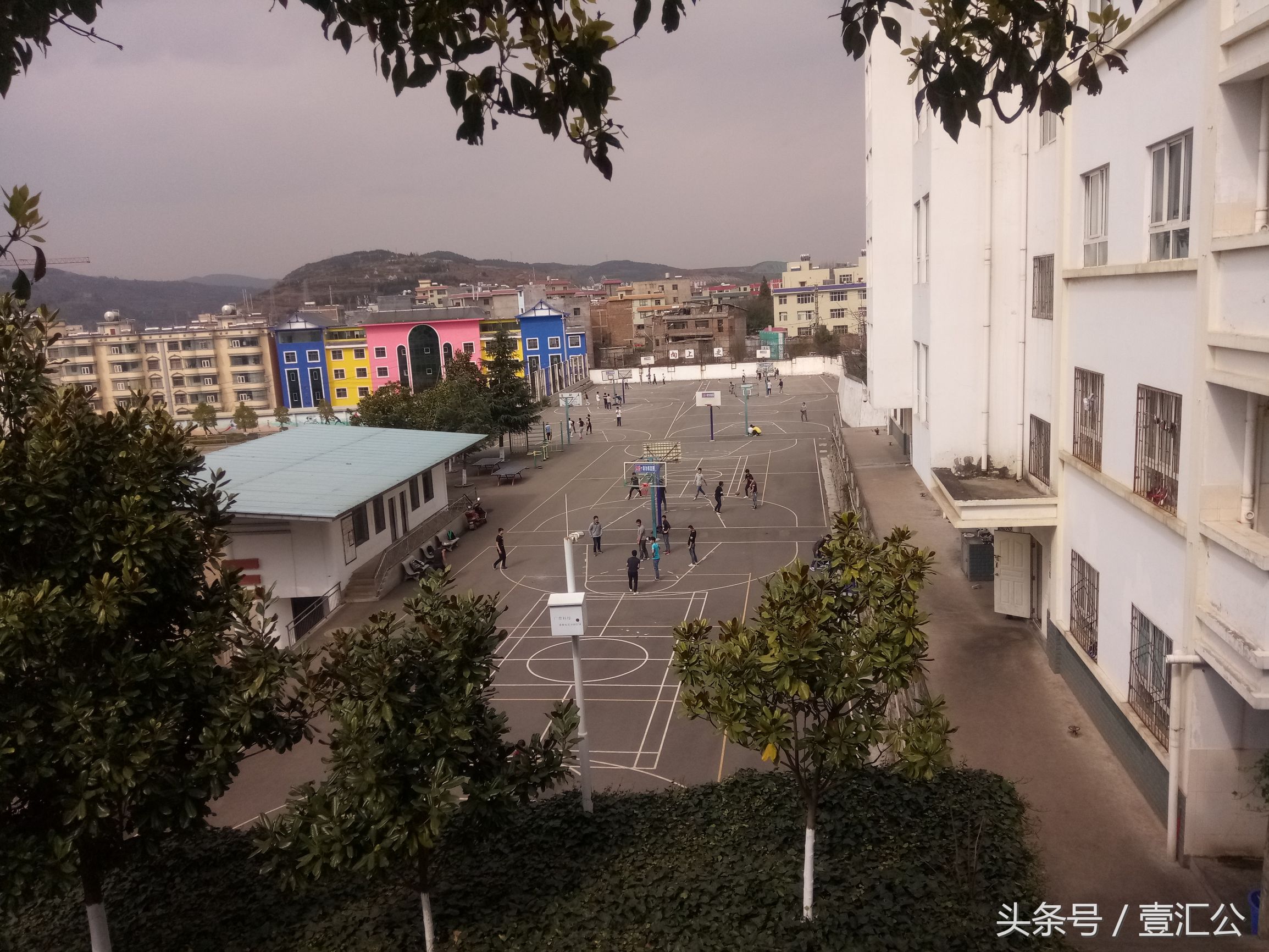 少小离家老大回的情景,少小离家老大回不是乡音未改吗