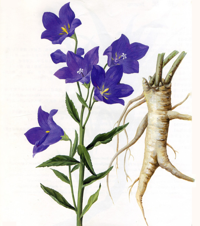 鍗庣洊鏁ｆ不鍜冲椊鍋忔柟,鍏婚槾娓呰偤姹ゆ不鍜界棝