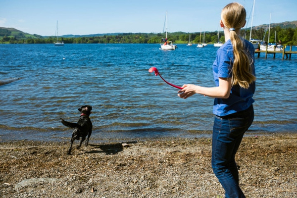 去旅游时拍人物照技巧,去旅游拍小视频