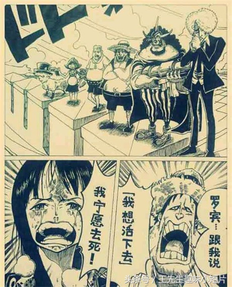 海贼王草帽团变乔巴,海贼王乔巴假扮船长